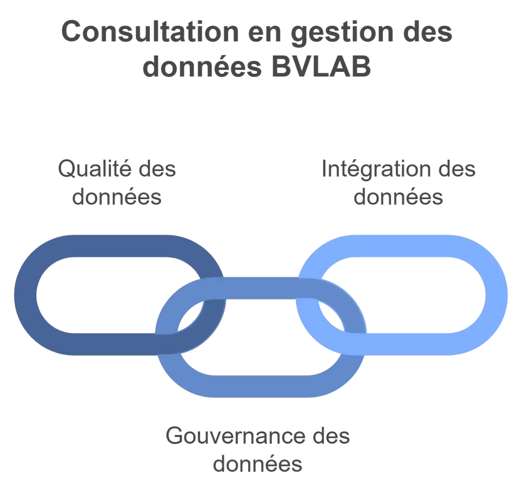 Conseil en gestion de données