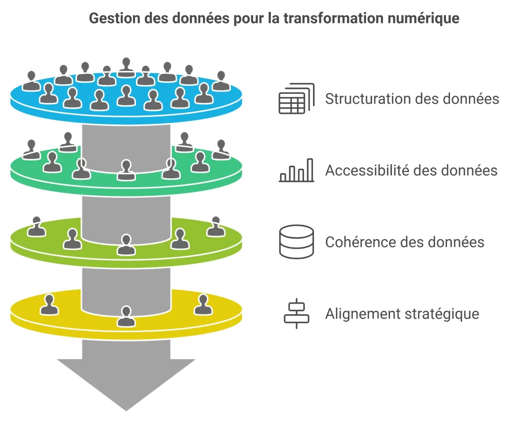 Conseil en gestion de données